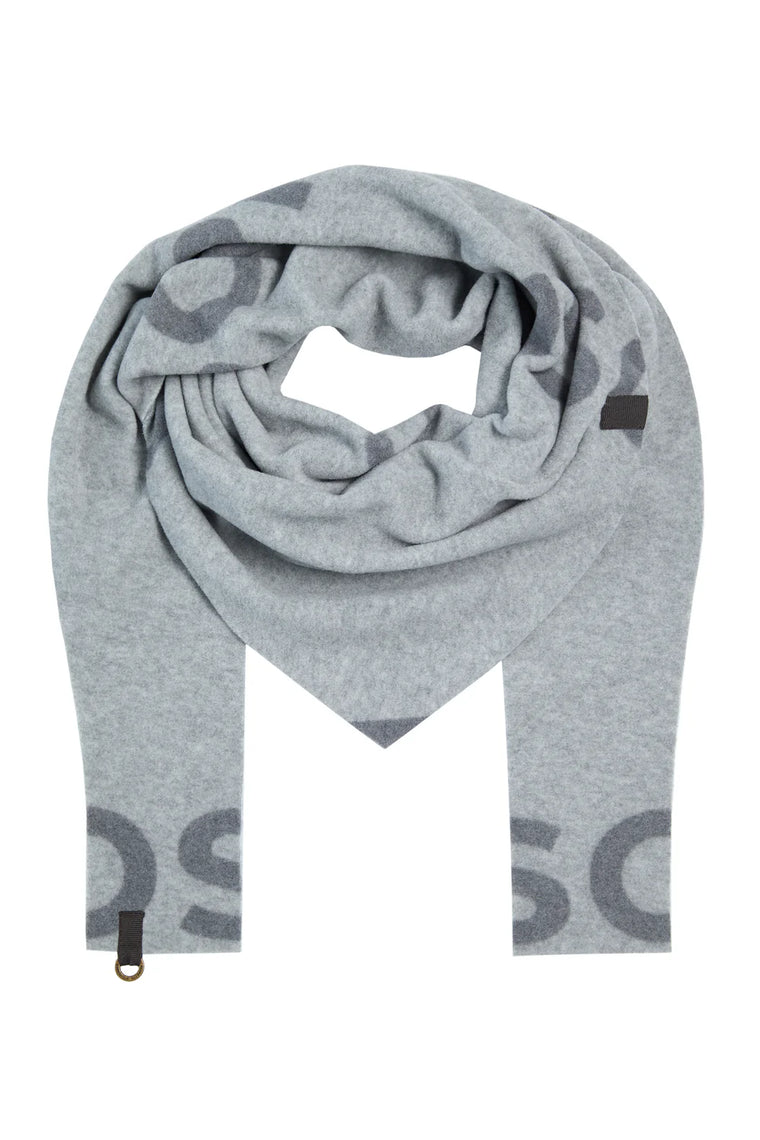 HSCPH Triangle Scarf Print